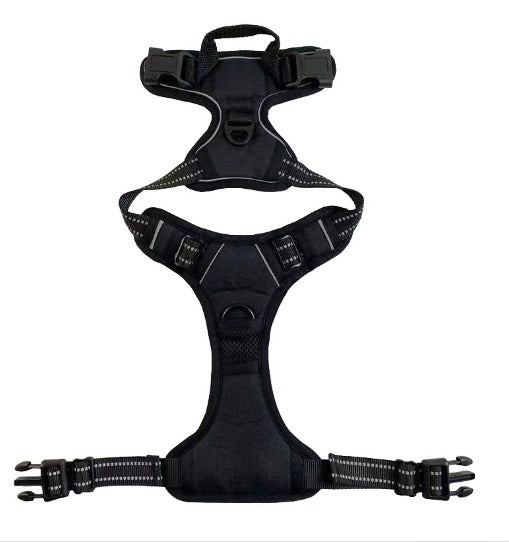 רתמה לכלב מבית לוריקס