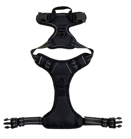 רתמה לכלב מבית לוריקס